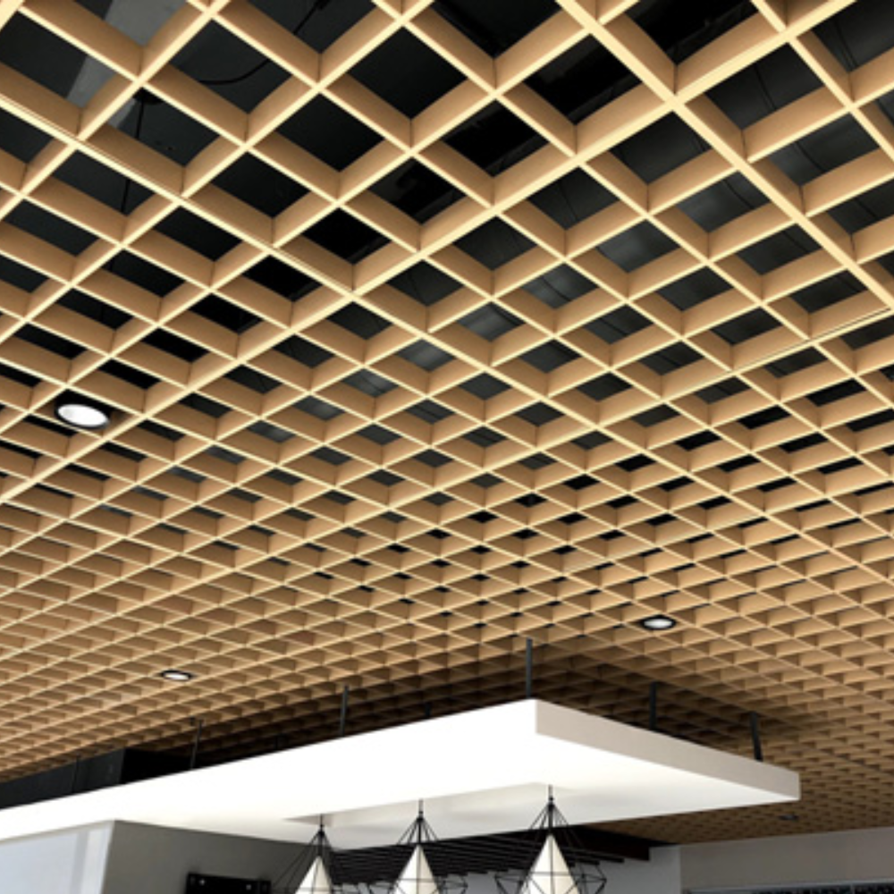 Open Cell Ceiling in vadodara