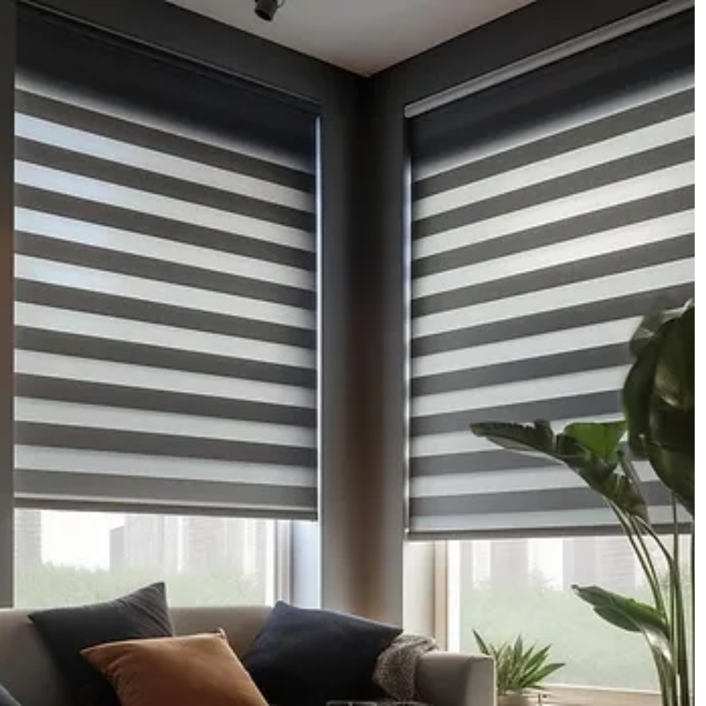 Zebra Blinds in vadodara
